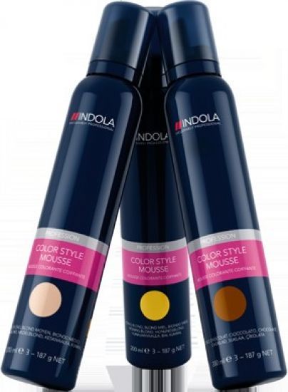 Indola Color Style Mousse 200ml Silber